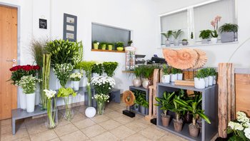 Florist Kapferer